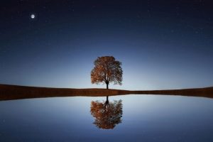 Managing Loneliness